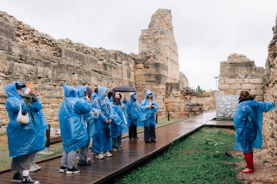 ��������� ������ ������� ���� � �������� ������������� � ����������� �����������