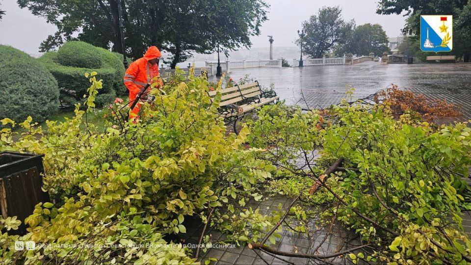 ������� ����� ������� �� ���������� ��������