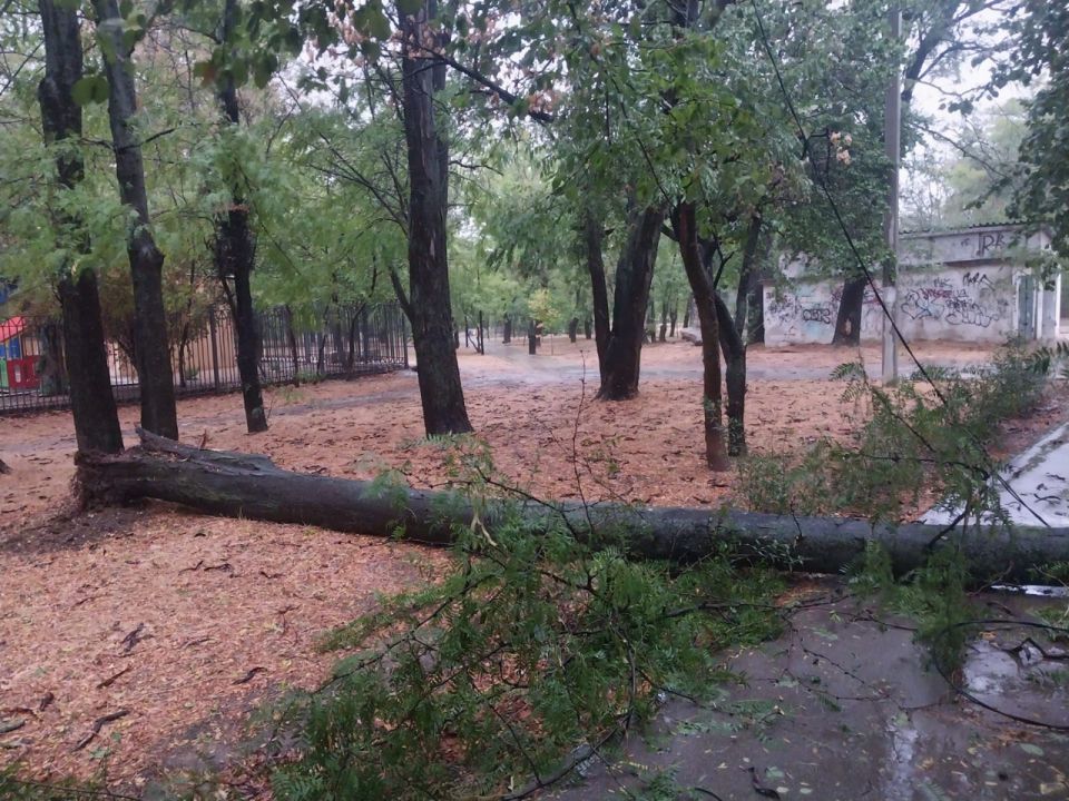 Михаил Развожаев: Провел планерку по устранению последствий непогоды Михаил Развожаев: Провел планерку по устранению последствий непогоды