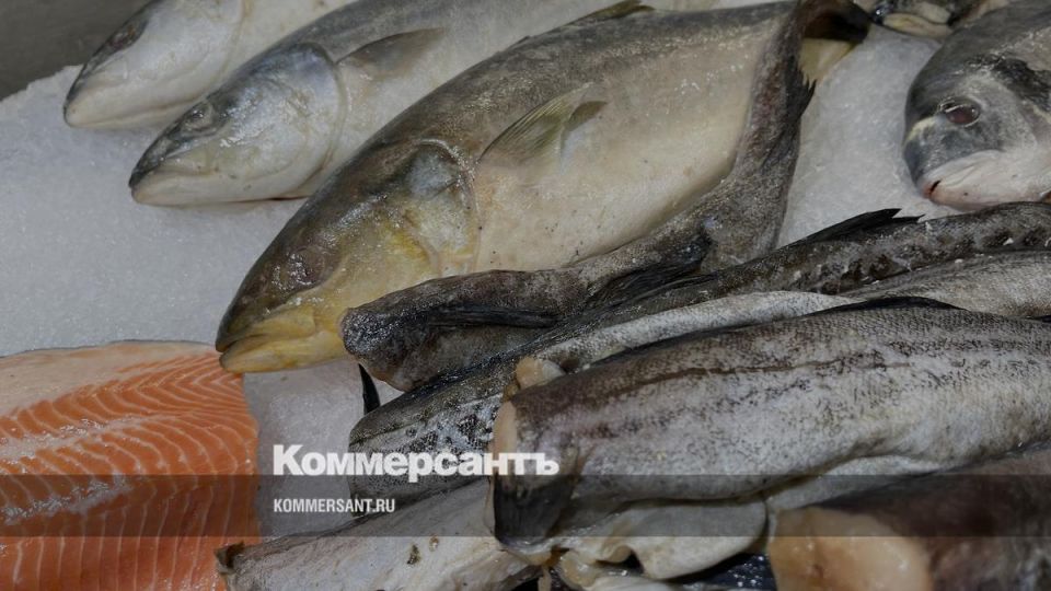 ����������������� ����������� � ����� ��������� � ���������� ������ � �������� ����������������� �������