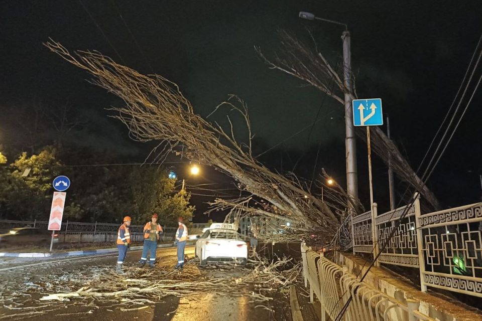 ��������� ������ ������� ���� � �������� ������������� � ����������� �����������