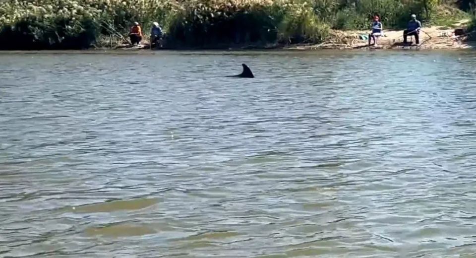 ����������� ������� ������ � ���������� ������� � ׸���� ����