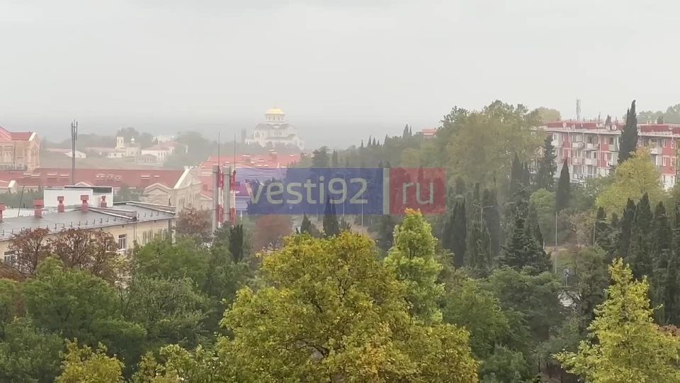 ������ ����, �����������!. ���� ���� ����� �������