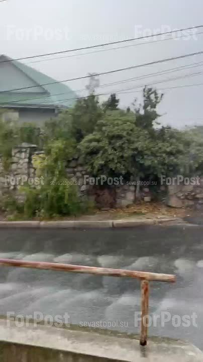 ����� �� ����� ������� �������� ��������