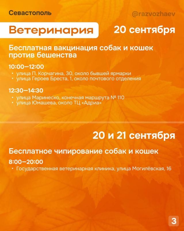 �������� ��-��������������: ����� ����������� ������� 20 � 21 ��������?