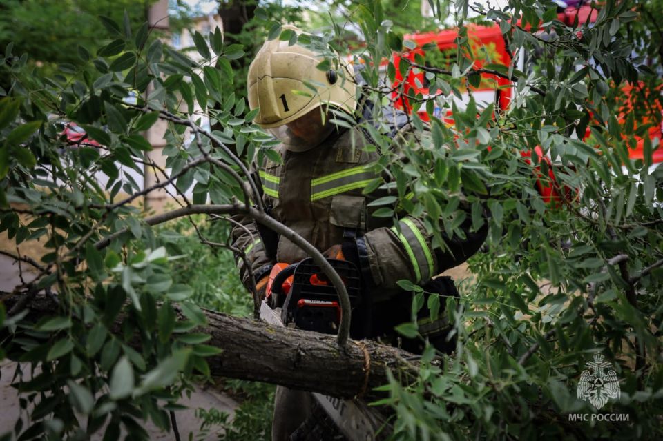 ����������� �������� ��������� ���������� ��� ������ �� �����������