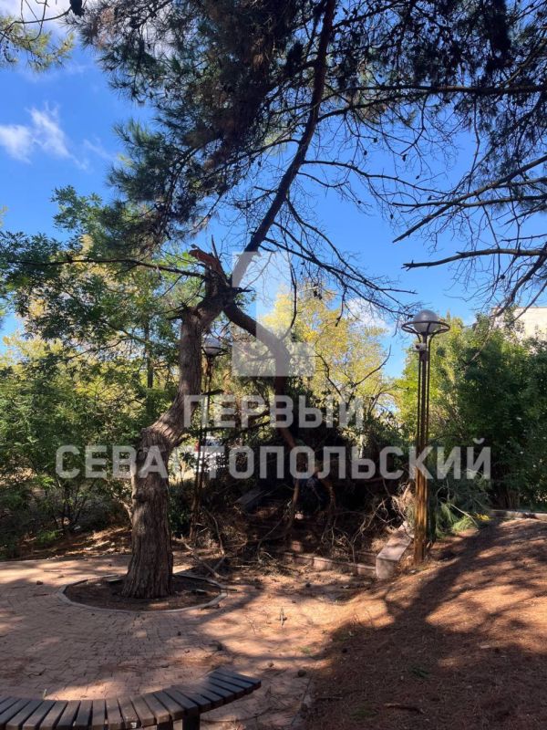 ������� ����� ������� ����� ����� � ������ �� ��������� ������