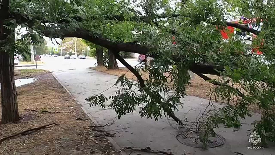 � ����������� ���������� ������� ��������� ��-�� ����� �������