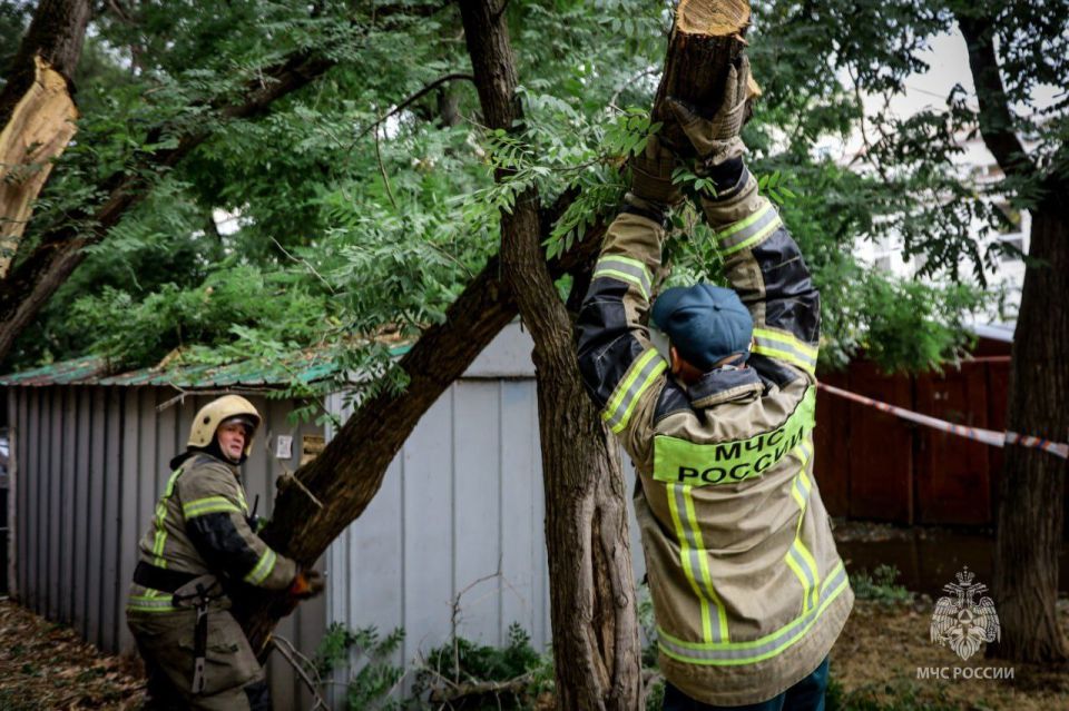 Сотрудники МЧС России по Севастополю присоединились к устранению последствий непогоды Сотрудники МЧС России по Севастополю присоединились к устранению последствий непогоды