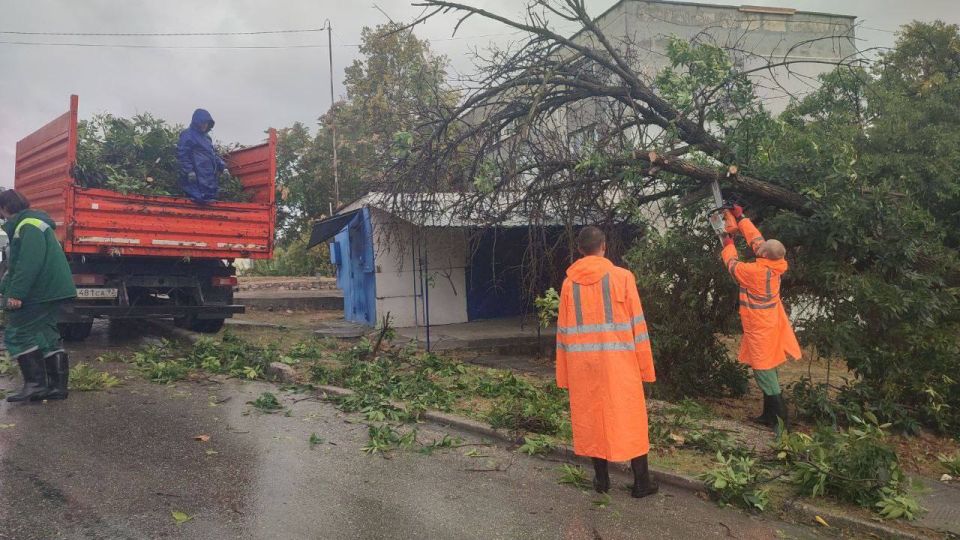 ����� 234 ��������� ������������� � ����������� ��-�� �������� � ����������