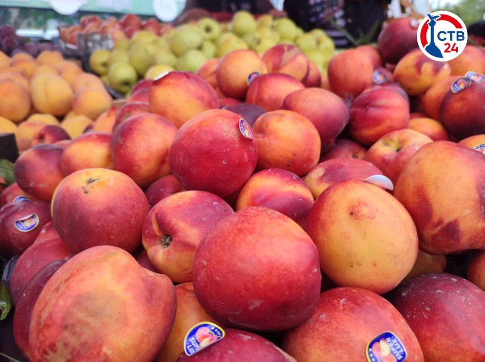 ������� ����������������� ������ �������� �� ������� 50-����� ����