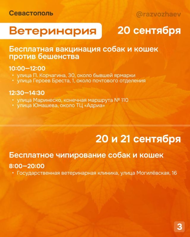 ������� ��������, � ��� ����������� ��������������� ���������� ����������� ��������� ���������� �����������