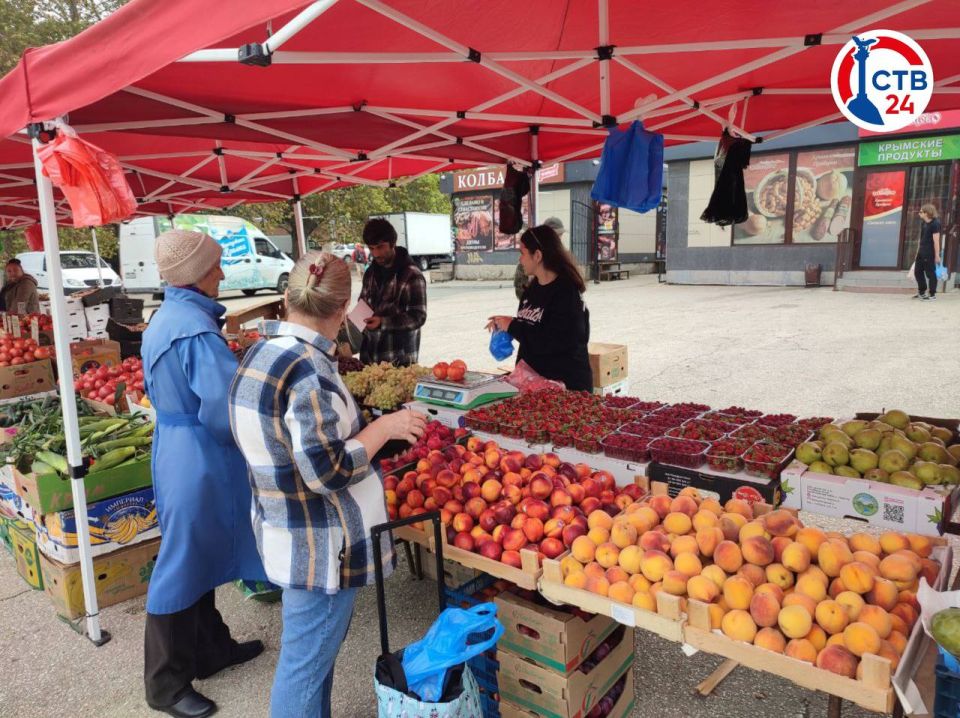 ������� ����������������� ������ �������� �� ������� 50-����� ����