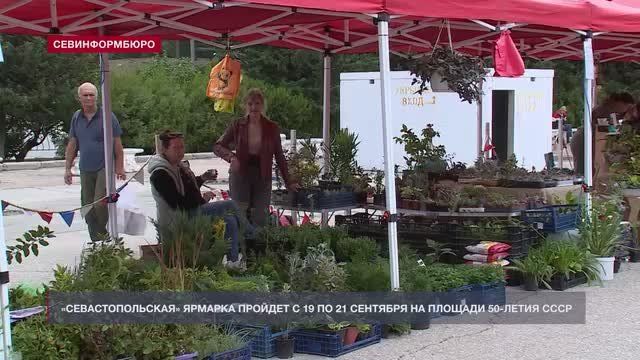На площади 50-летия СССР открылась «Севастопольская» ярмарка