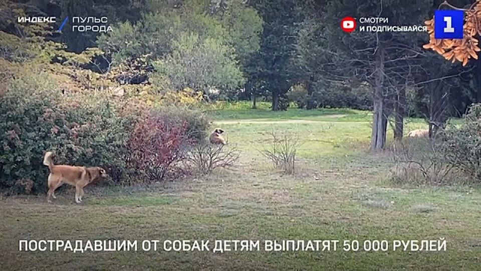 � ����������� ����, ������������ �� ������ �����, ������� ����������� � 50 ���