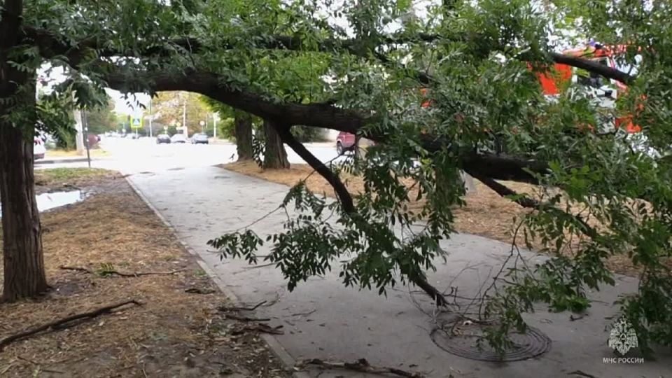 ���������� ��� ������ �� ����������� �������������� � ���������� ����������� ��������