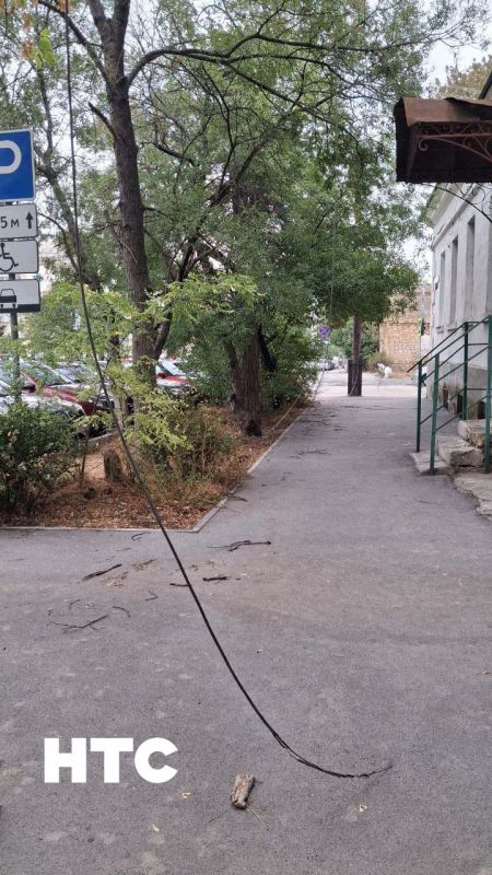 #���_�����. ����������� ���������� �����