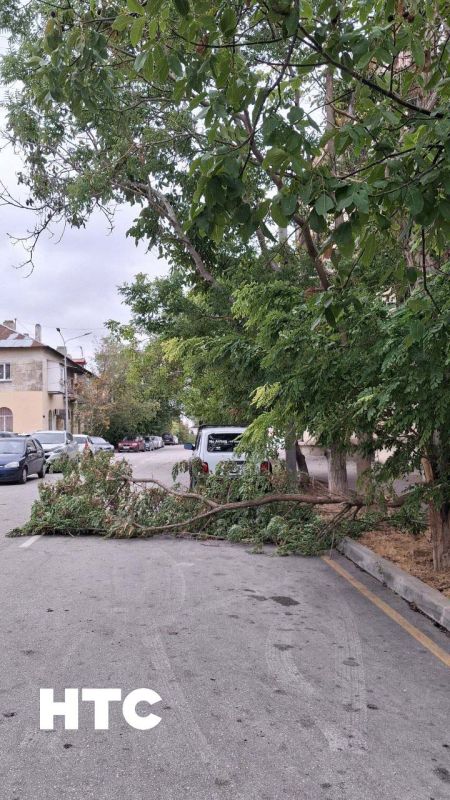 #���_�����. ����������� ���������� �����