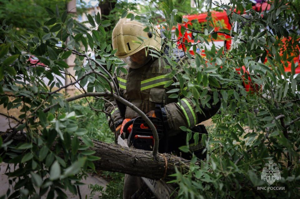 Сотрудники МЧС России по Севастополю присоединились к устранению последствий непогоды Сотрудники МЧС России по Севастополю присоединились к устранению последствий непогоды