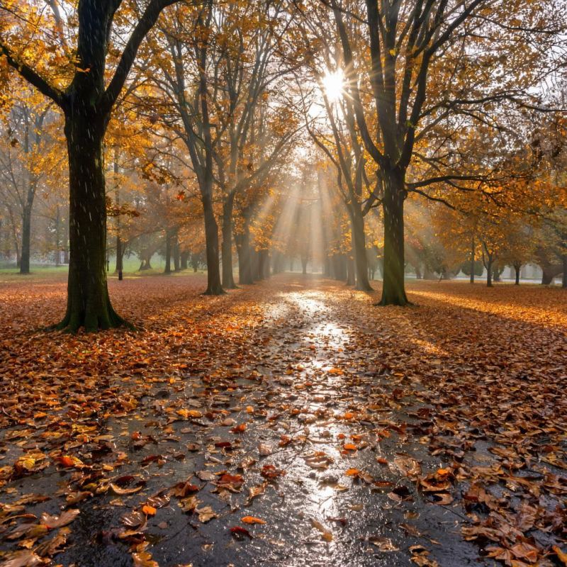 ������� ������ � ����� �� 19 ��������