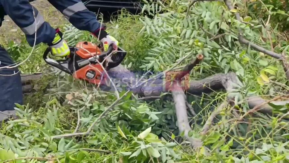 На улице Суворова у первой гимназии сотрудники МЧС устраняют последствия шквалистого ветра