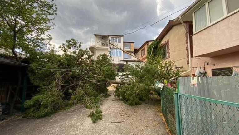 ������������� ������ ��������� ��� �� ��� �����