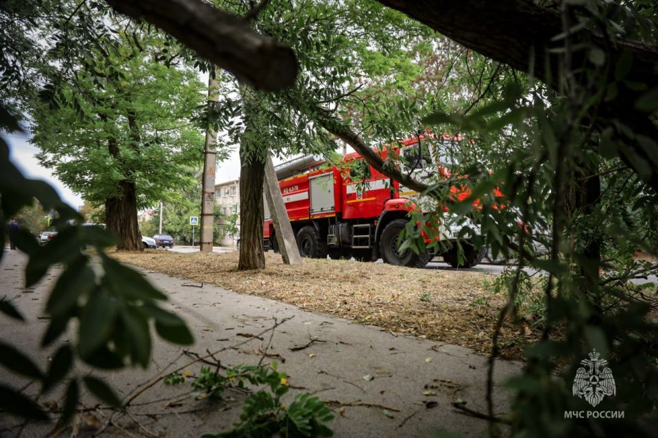 ����������� �������� ��������� ���������� ��� ������ �� �����������