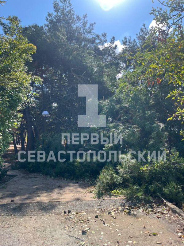 ������� ����� ������� ����� ����� � ������ �� ��������� ������