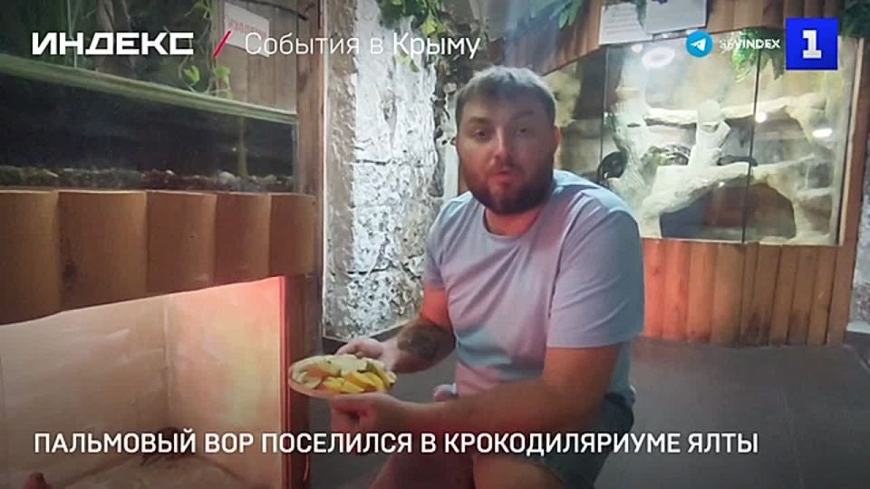 � ��������� �������������� ��������� ��������� �������� ������� � ����-��������� ���