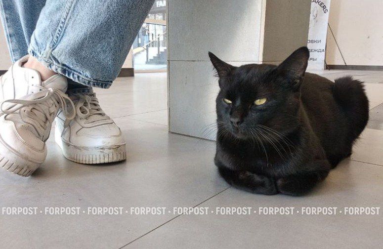 � ���������� � "������������" �������� ��� ������ ����� ��� ����� � �������� � ������� ���������� �����: �������� ���� � �������, ������ ��� ������ ������, ������� ����� �� ������ � ������