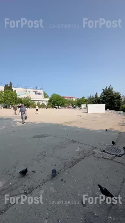 � ����������� ����������� ��������� ��������-"��������"