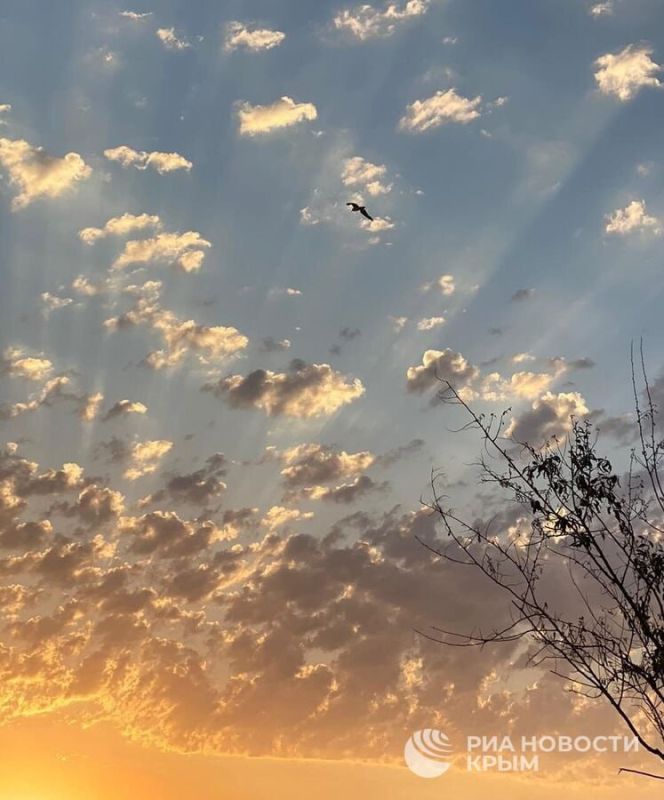 ������� ������ � ����� �� �������