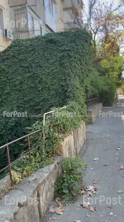 ������� ��������������� ������� ��� ������ ����� ���� ������ � �����-�� ��������� ���