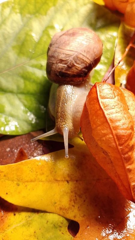 � ������ ��������� ������� �����