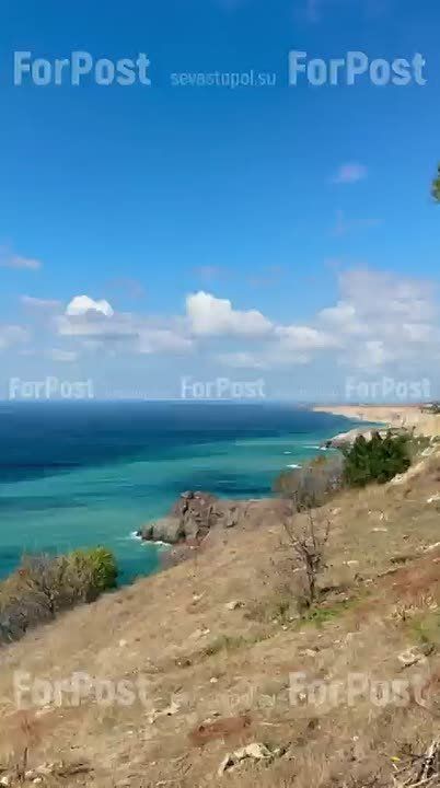 ����������� ������� ��������� �������� ��� ������