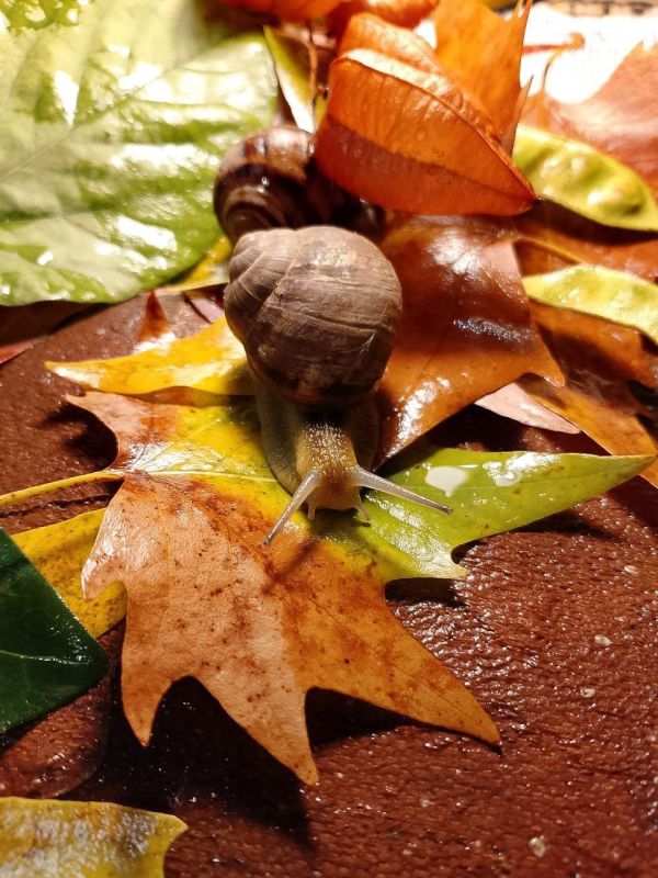 � ������ ��������� ������� �����