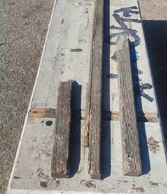 � ����������� ����������� ��������� ��������-"��������"