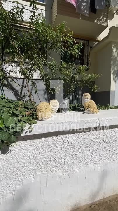 �������, ��������, ������ � ����� ������������ � ����� �� ������ �� ��. ������� ��������