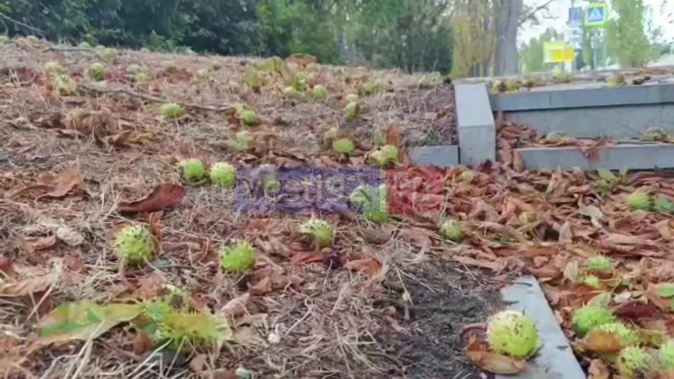 ������ ����, �����������!. ���� ���� ����� ��������