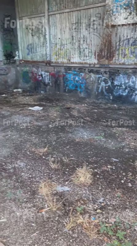 #���_�����. ������ ������������ ������������ �� ����������� �������, ������� ��������� ������, ��� ������ ����� ������ �������, ������������ � ������� ����� � ����� ����� �����������