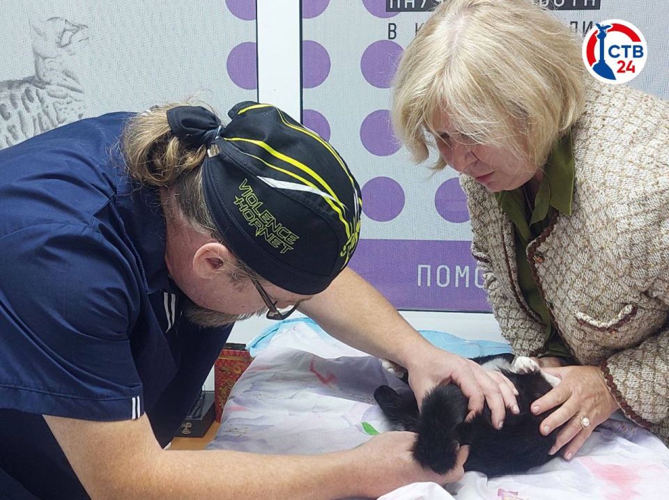 � ��������������� ������������� �������� ����� ���������� ��������� �����������