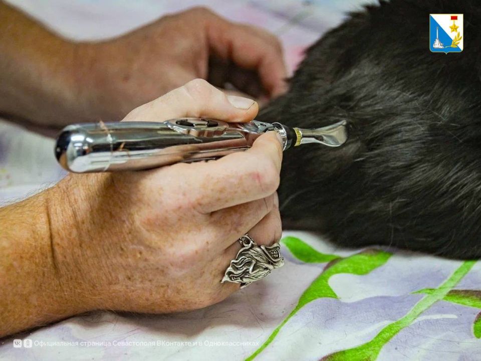 ��������� � ������� ����� �������