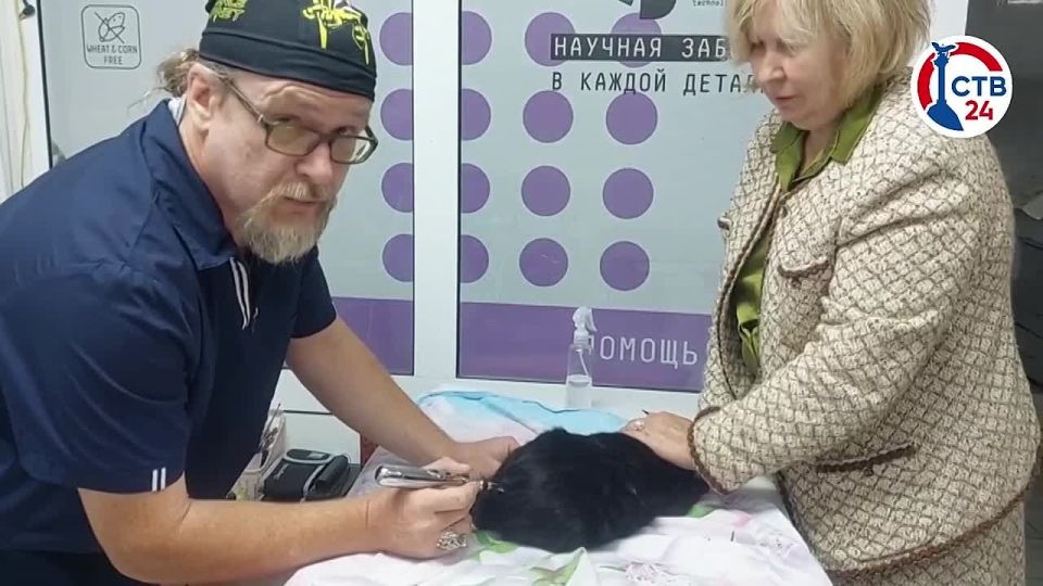 � ��������������� ������������� �������� ����� ���������� ��������� �����������