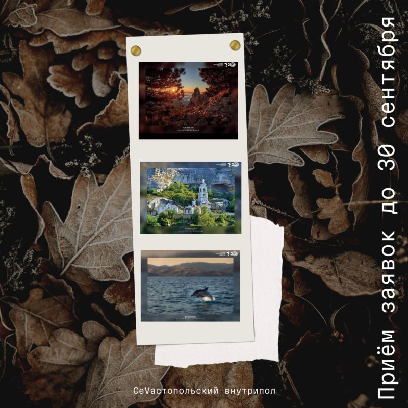 Продолжается приём заявок на конкурс экологических и природоохранных проектов 2026 года