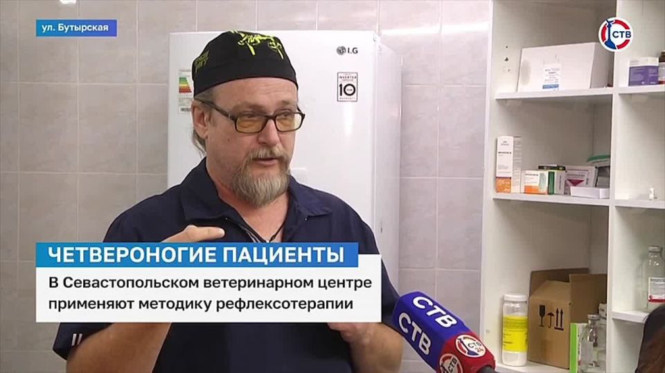 Для здоровья четвероногих пациентов: в севастопольском ветеринарном центре применяют методику рефлексотерапии