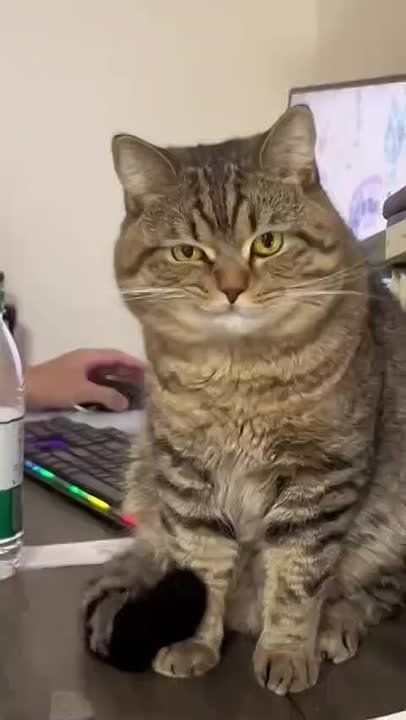 ������� ��������� ���� �� ������ � 22 �� 28 ��������