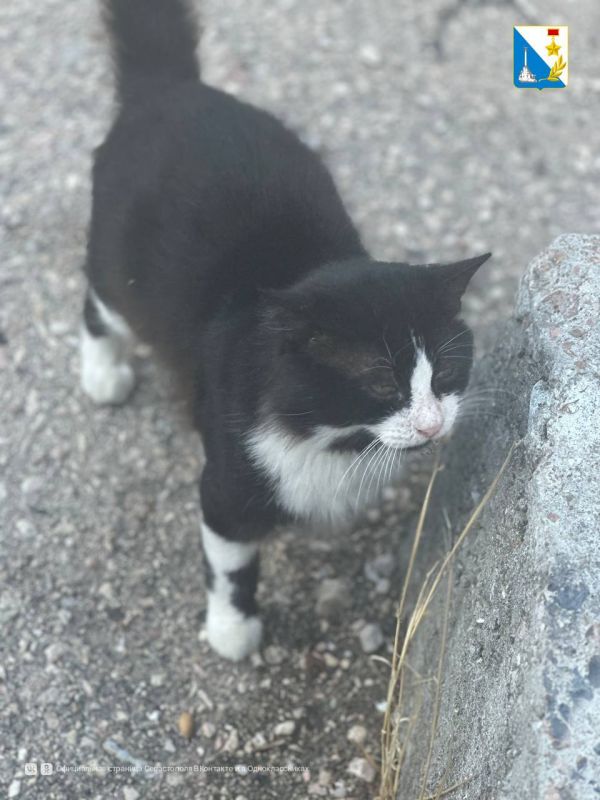 ����� 90 �������� ������� ���������� ������������ ����������� �� ��������