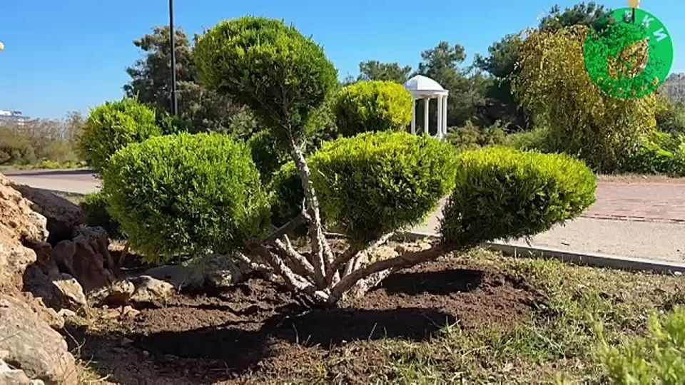 ��-�������� ������� � ����� ������ � ������ ������ ���