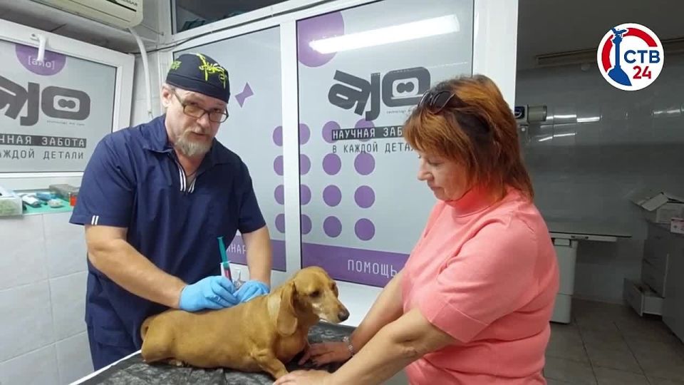 � ������������� �������� ����� � ���������������������