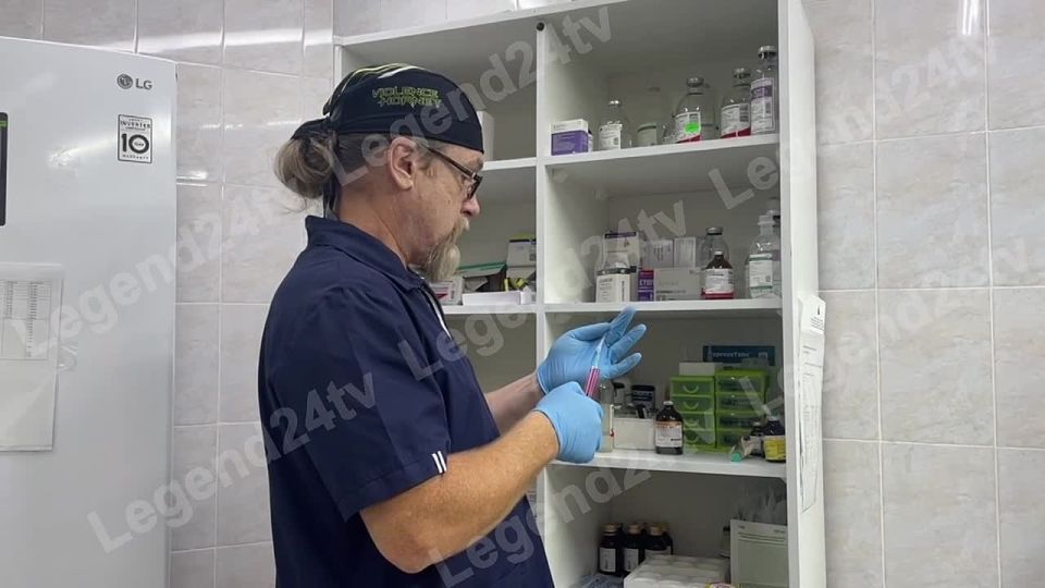 В севастопольской госветклинике животных лечат методом рефлексохимиотерапии